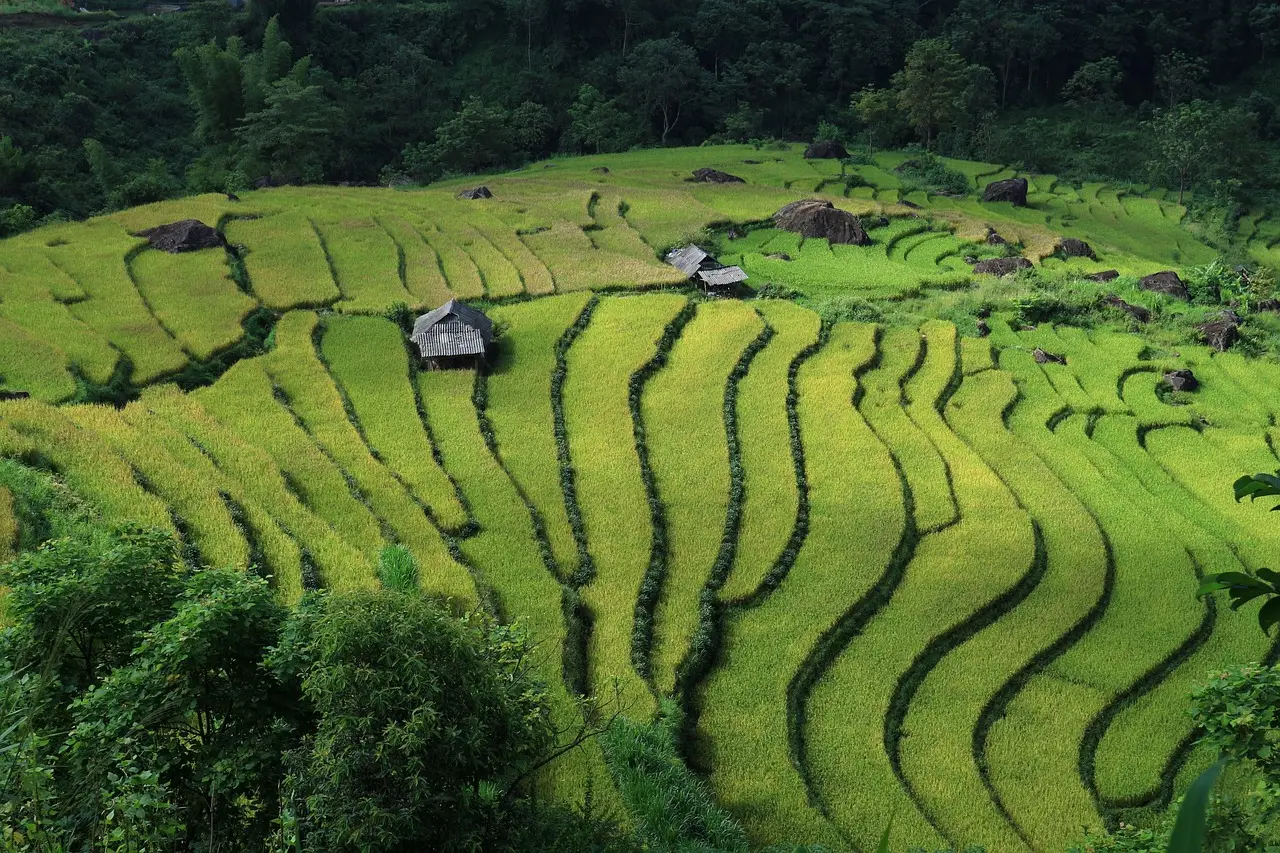 Vietnam’s growing role in Asia-Pacific semiconductor supply chains boosts need for reliable logistics - Asia News Networ